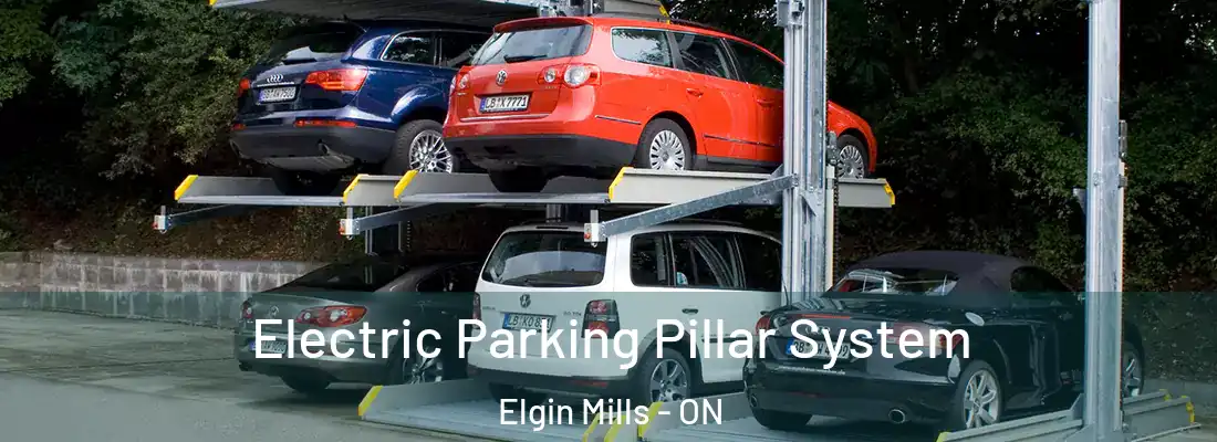  Electric Parking Pillar System Elgin Mills - ON
