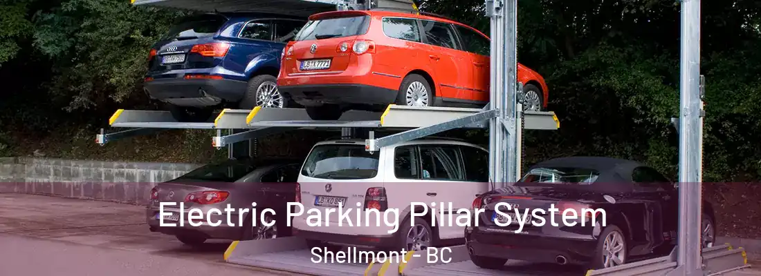  Electric Parking Pillar System Shellmont - BC