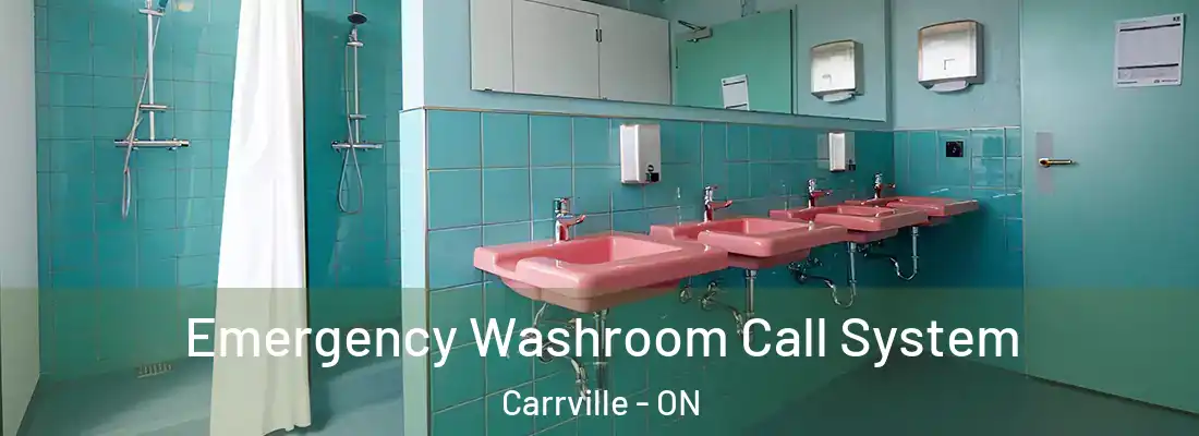  Emergency Washroom Call System Carrville - ON