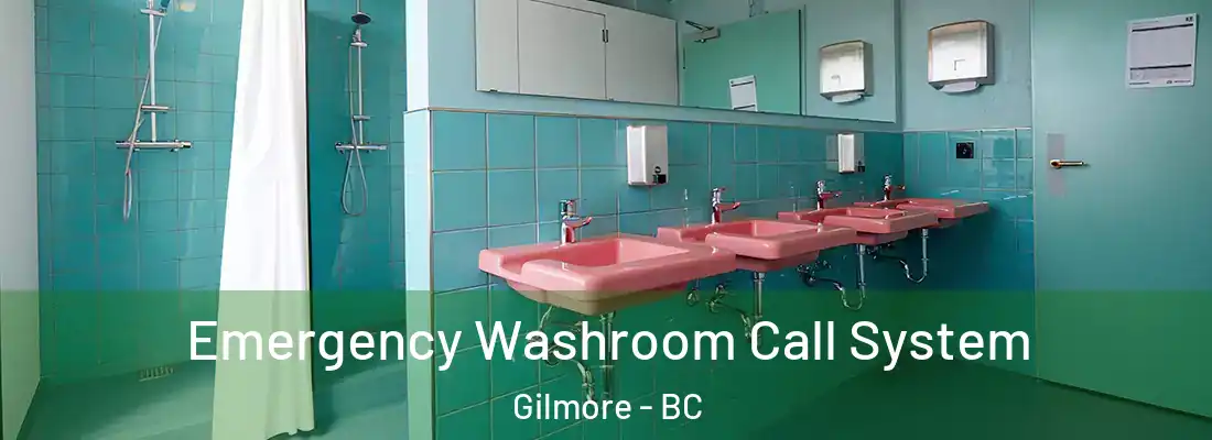  Emergency Washroom Call System Gilmore - BC