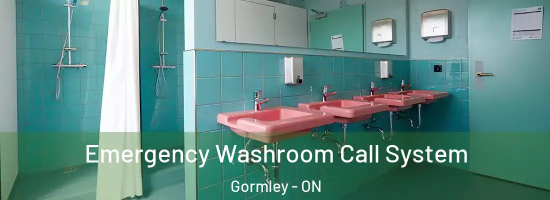  Emergency Washroom Call System Gormley - ON