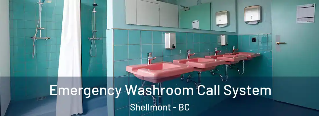  Emergency Washroom Call System Shellmont - BC