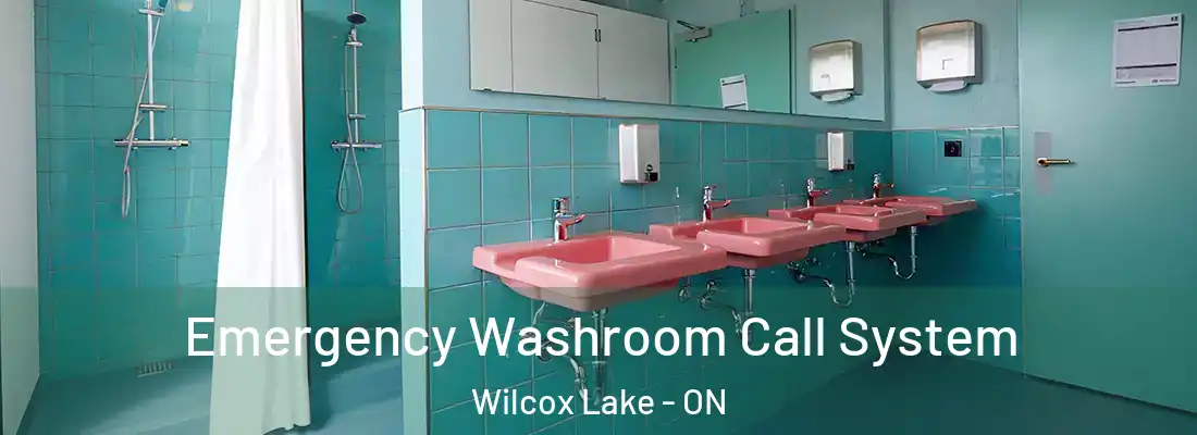  Emergency Washroom Call System Wilcox Lake - ON