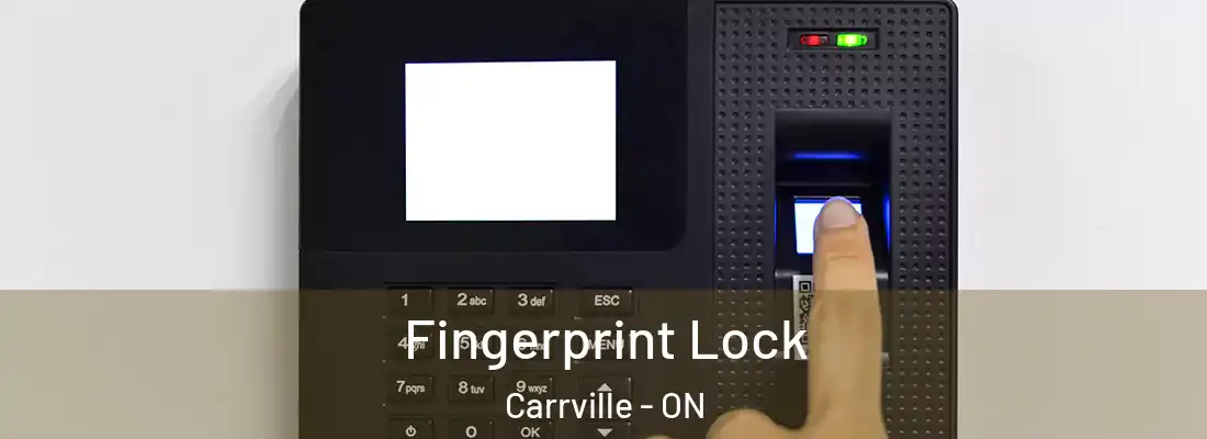  Fingerprint Lock Carrville - ON