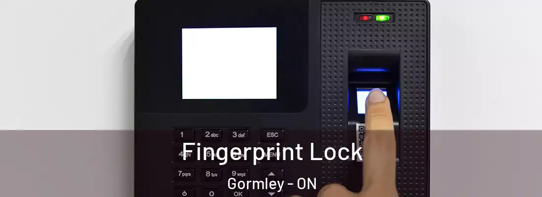  Fingerprint Lock Gormley - ON