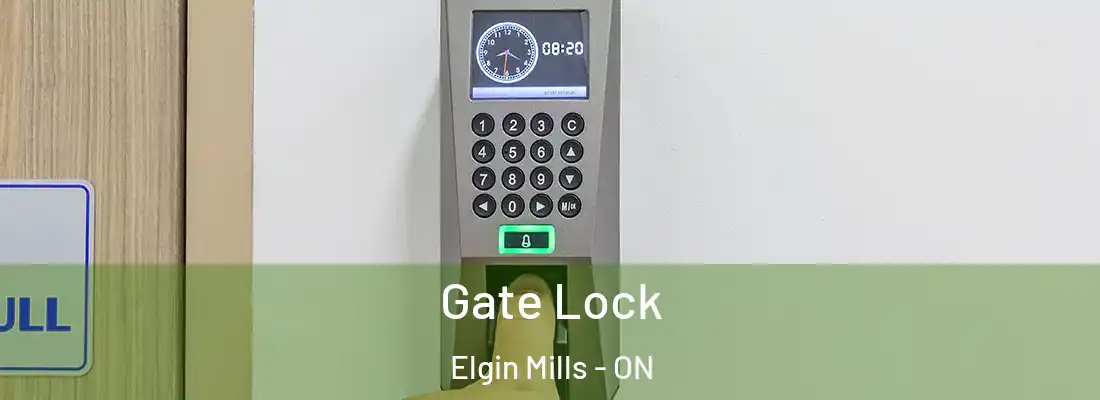  Gate Lock Elgin Mills - ON