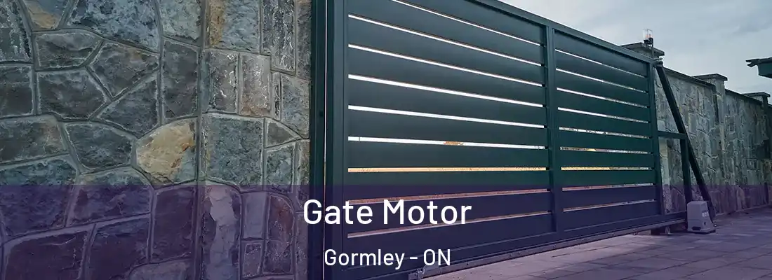  Gate Motor Gormley - ON