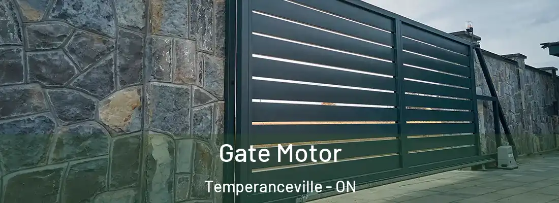  Gate Motor Temperanceville - ON