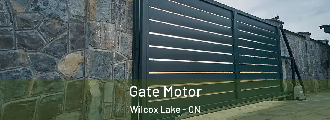  Gate Motor Wilcox Lake - ON