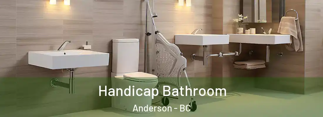  Handicap Bathroom Anderson - BC