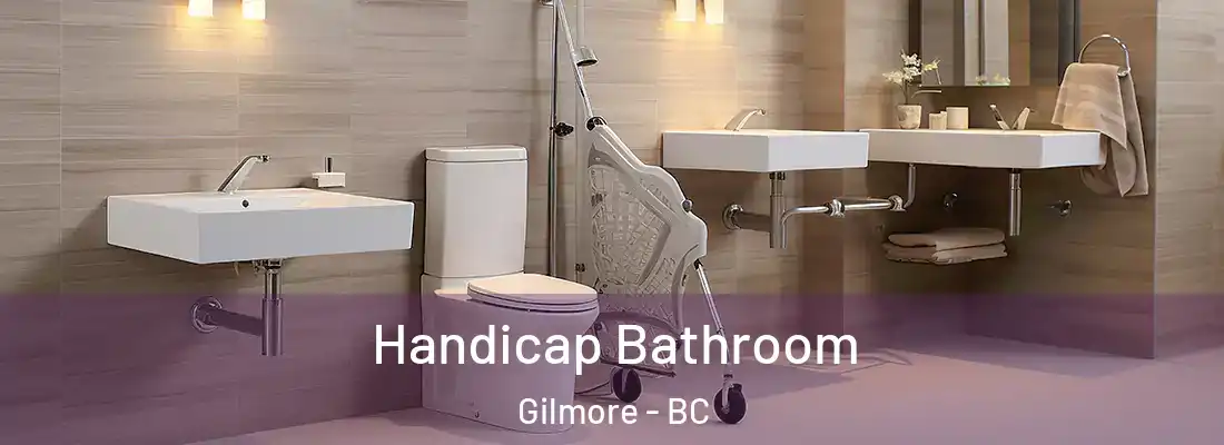  Handicap Bathroom Gilmore - BC