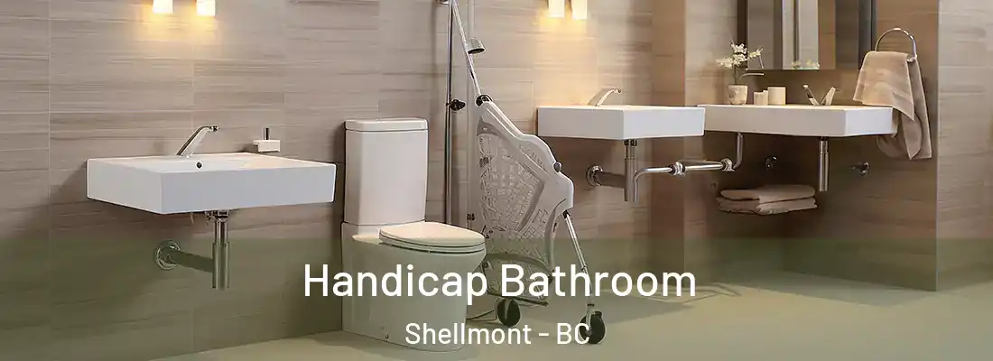  Handicap Bathroom Shellmont - BC