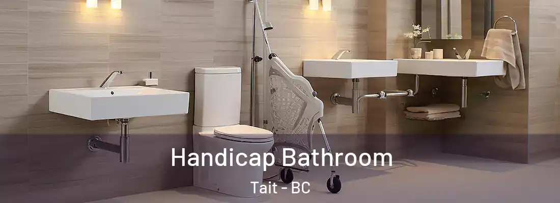  Handicap Bathroom Tait - BC