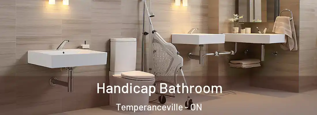  Handicap Bathroom Temperanceville - ON