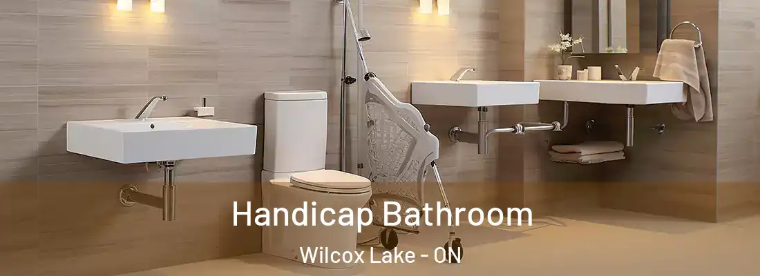  Handicap Bathroom Wilcox Lake - ON