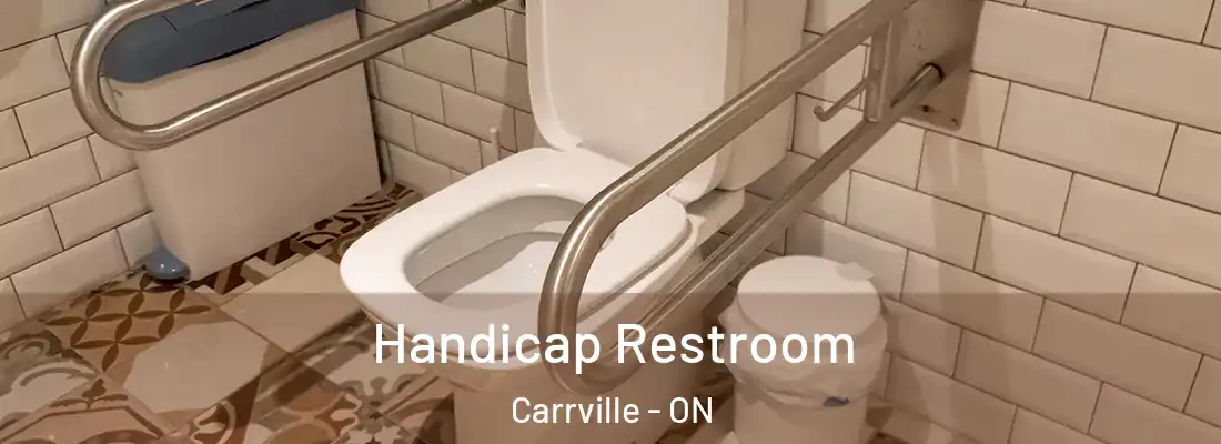  Handicap Restroom Carrville - ON