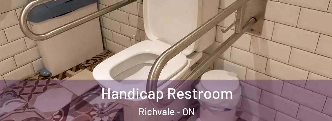  Handicap Restroom Richvale - ON