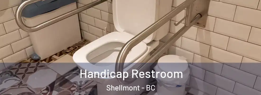  Handicap Restroom Shellmont - BC