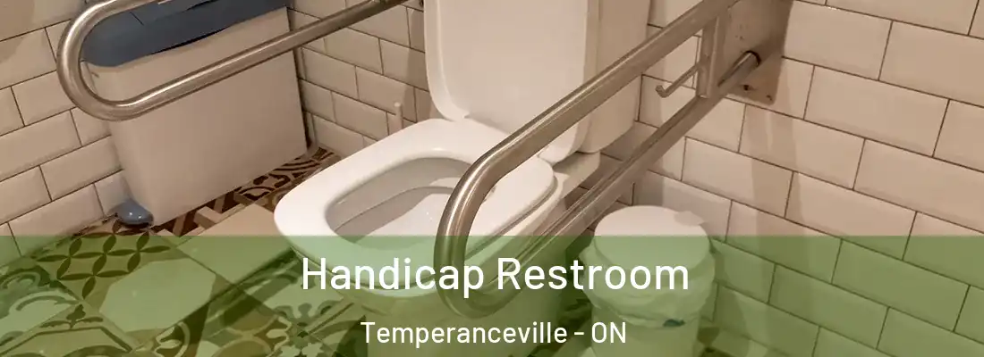  Handicap Restroom Temperanceville - ON
