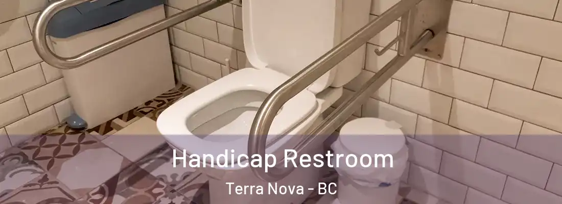  Handicap Restroom Terra Nova - BC