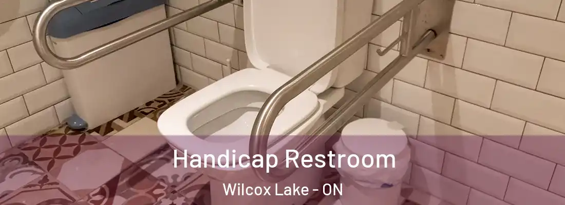  Handicap Restroom Wilcox Lake - ON