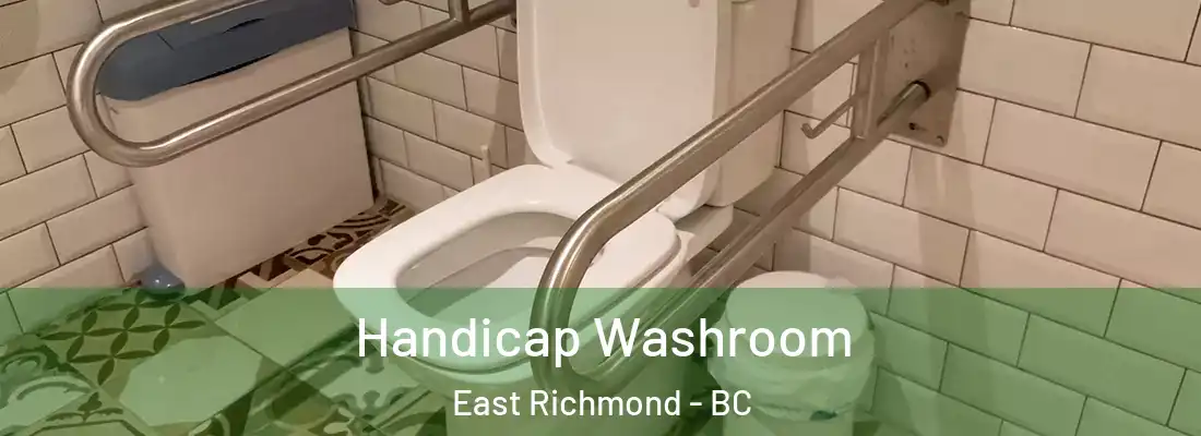  Handicap Washroom East Richmond - BC