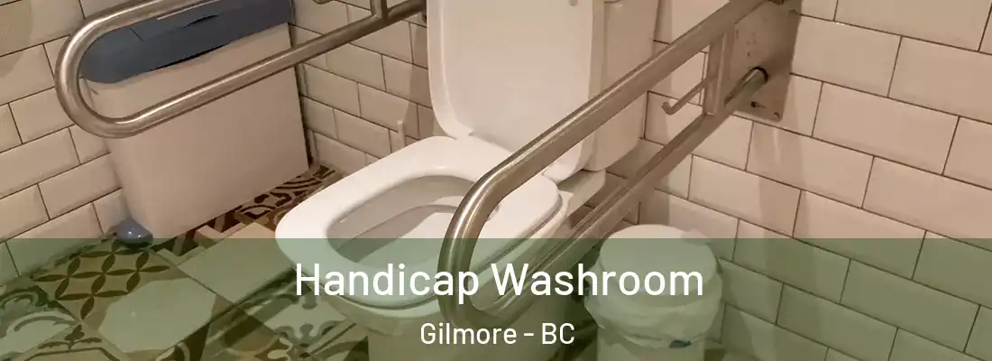  Handicap Washroom Gilmore - BC