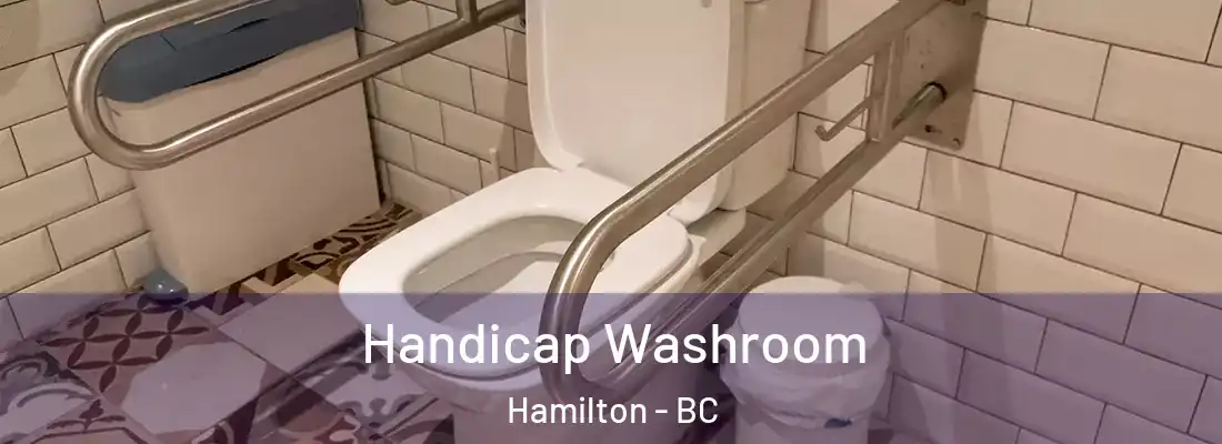  Handicap Washroom Hamilton - BC