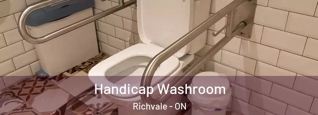  Handicap Washroom Richvale - ON