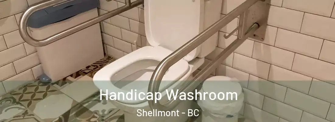  Handicap Washroom Shellmont - BC