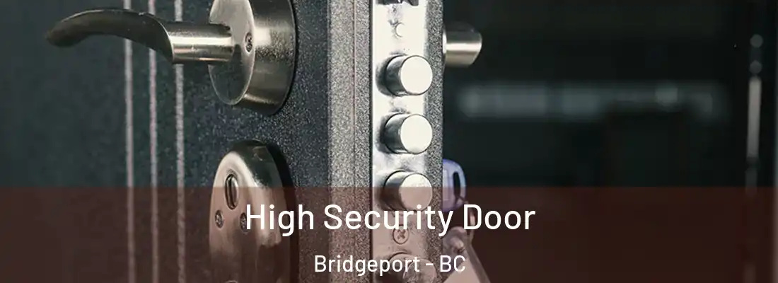  High Security Door Bridgeport - BC