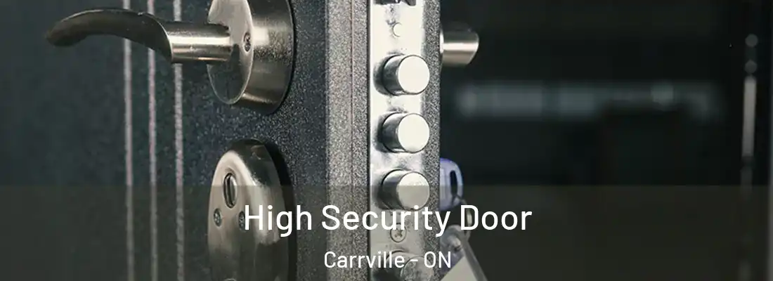  High Security Door Carrville - ON