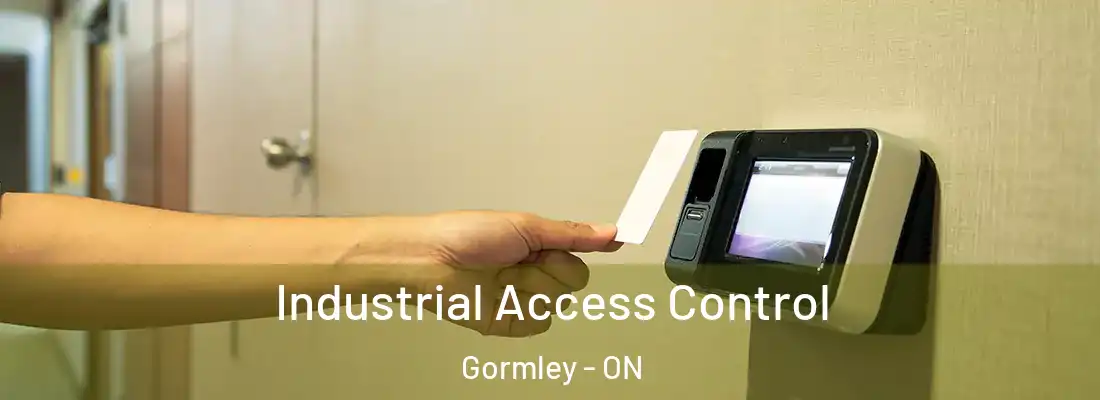  Industrial Access Control Gormley - ON