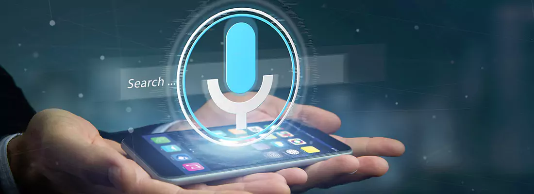 Enhance Security with Voice Recognition Access Systems in Hamilton, BC