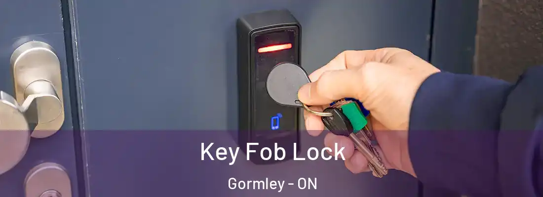  Key Fob Lock Gormley - ON