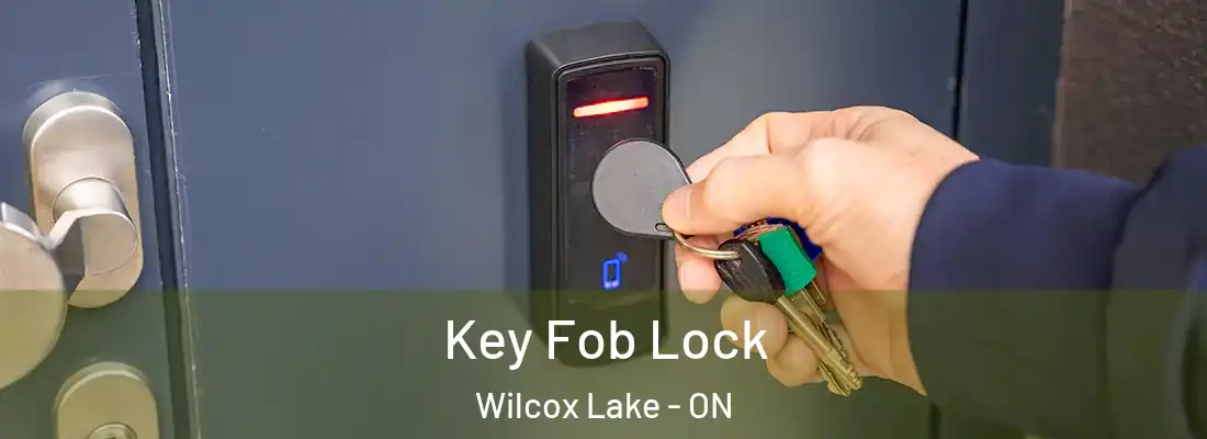  Key Fob Lock Wilcox Lake - ON