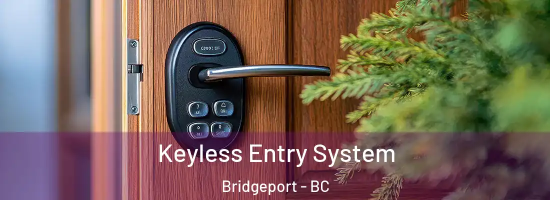 Keyless Entry System Bridgeport - BC