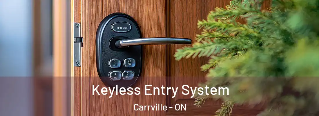  Keyless Entry System Carrville - ON