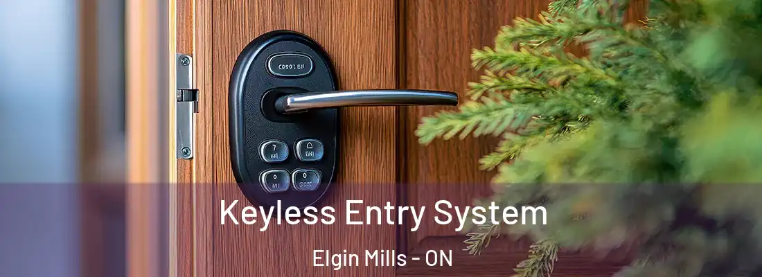  Keyless Entry System Elgin Mills - ON