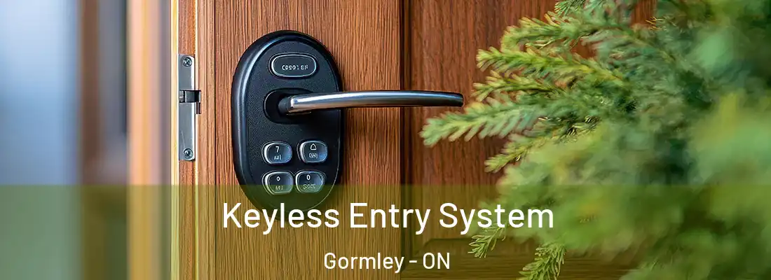  Keyless Entry System Gormley - ON