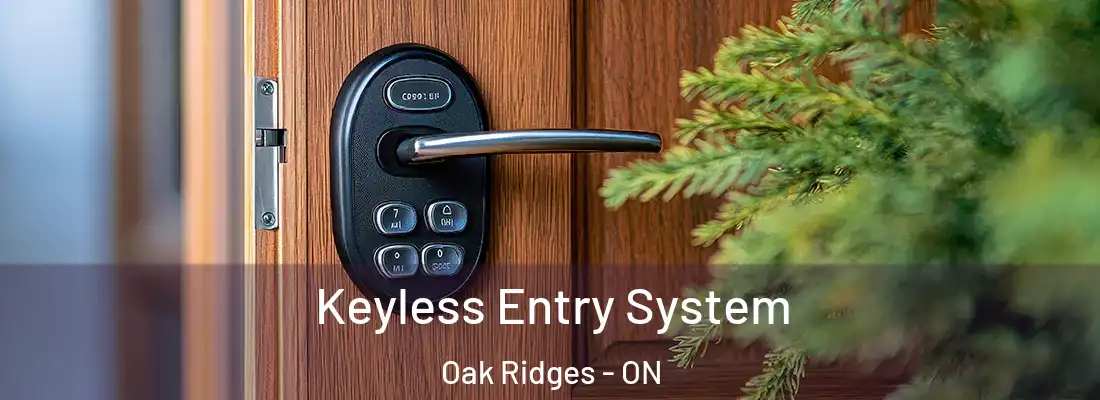  Keyless Entry System Oak Ridges - ON