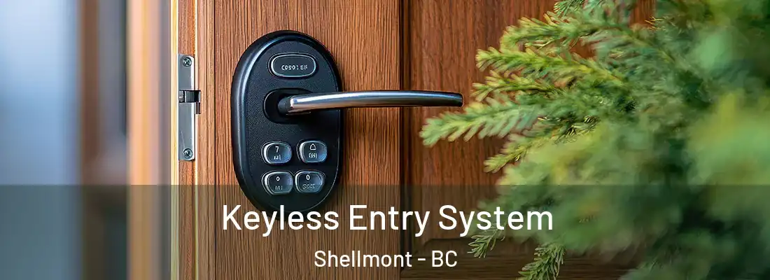 Keyless Entry System Shellmont - BC
