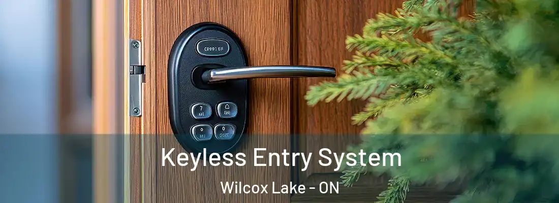  Keyless Entry System Wilcox Lake - ON