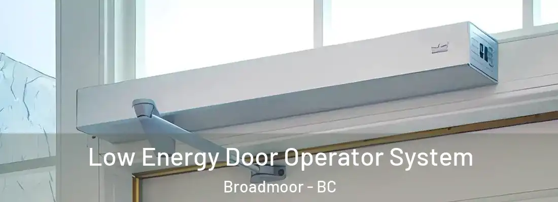  Low Energy Door Operator System Broadmoor - BC