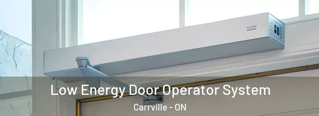  Low Energy Door Operator System Carrville - ON