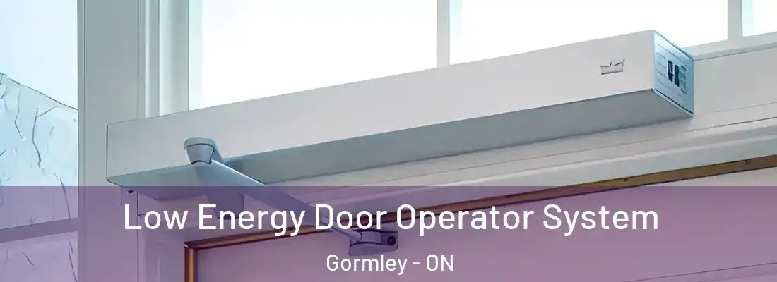  Low Energy Door Operator System Gormley - ON