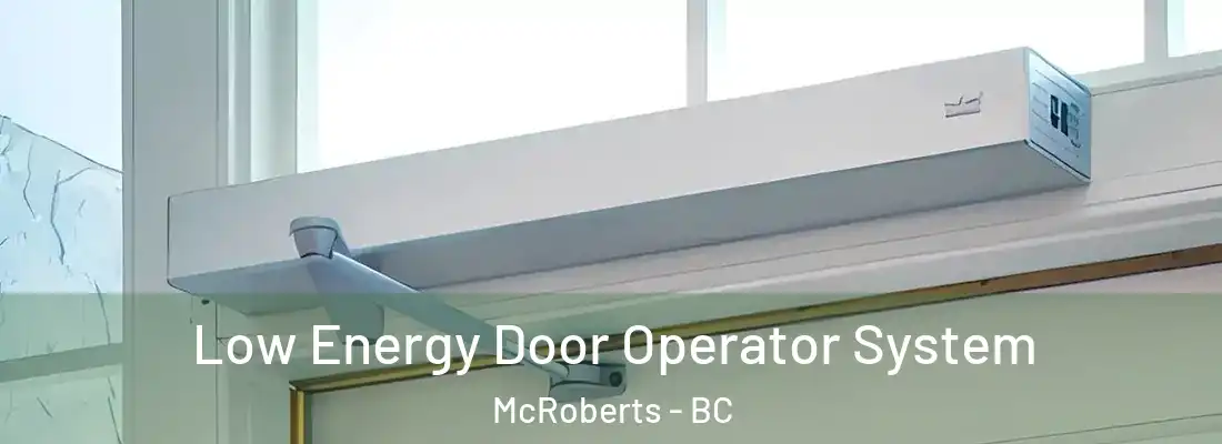  Low Energy Door Operator System McRoberts - BC