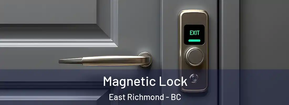  Magnetic Lock East Richmond - BC