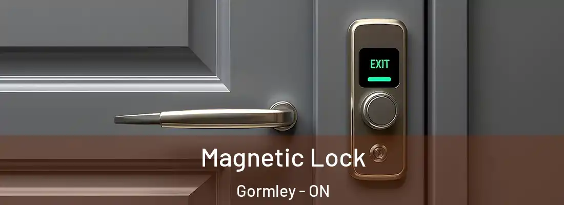  Magnetic Lock Gormley - ON