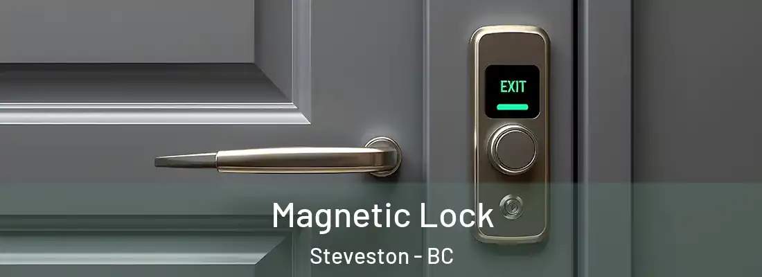  Magnetic Lock Steveston - BC